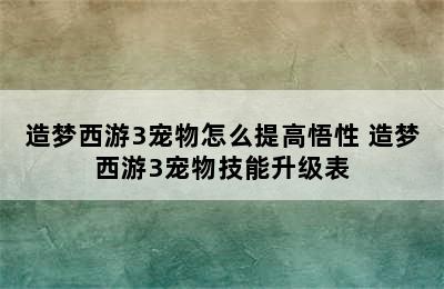 造梦西游3宠物怎么提高悟性 造梦西游3宠物技能升级表